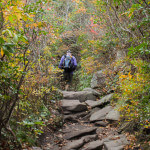 Rough Ridge Trail Tour 7