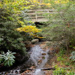 Rough Ridge Trail Tour 0