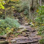 Rough Ridge Trail Tour 2