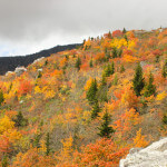 Rough Ridge Trail Tour 3