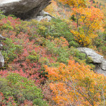 Rough Ridge Trail Tour 6