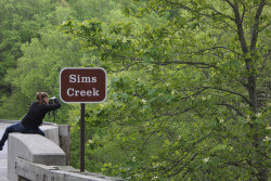 In spring, the Sims Creek Viaduct is a great place to photograph Fraser Magnolia blooms.