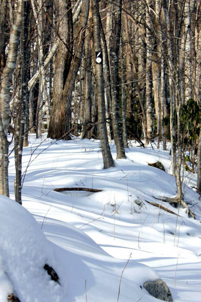 Tanawha Trail in Snow
